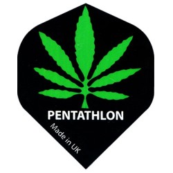 PENTATHLON STANDARD Cannabis