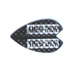 Feathers Amerithon It 's called a black Dimplex Vortex 3022 2