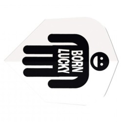 It's from the 2002 movie Born Lucky. 2