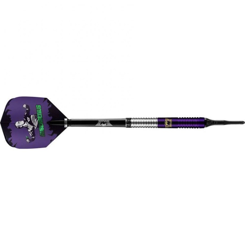 Les fléchettes Bulls Darts Dirk Van Duijvenbode Aubergenius 90% 20g 24220 Je suis désolé