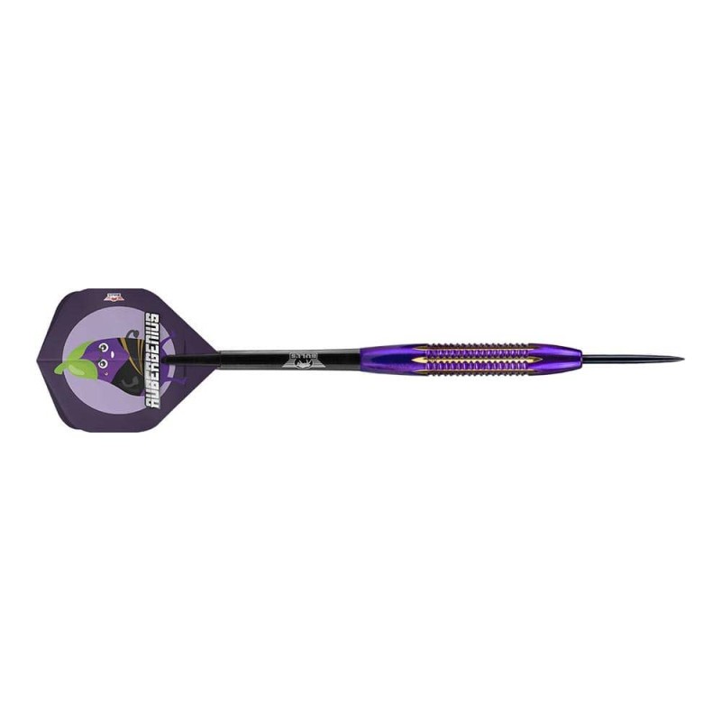 Les fléchettes Bulls Darts Dirk Van Duijvenbode Aubergenius acier en laiton 21gr Bu-24321