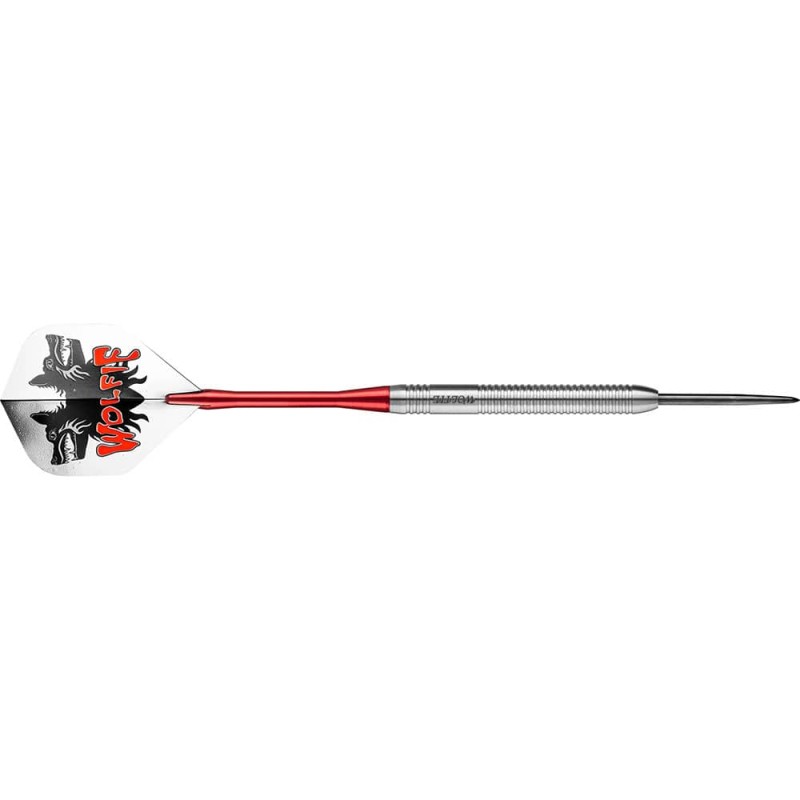 Darts Datadart Spieler Martin Adams 95% 24g