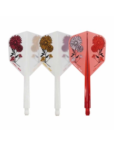 Plumas Condor Axe Gerbera Statice Kort Shape L 33.5m Três de vocês.