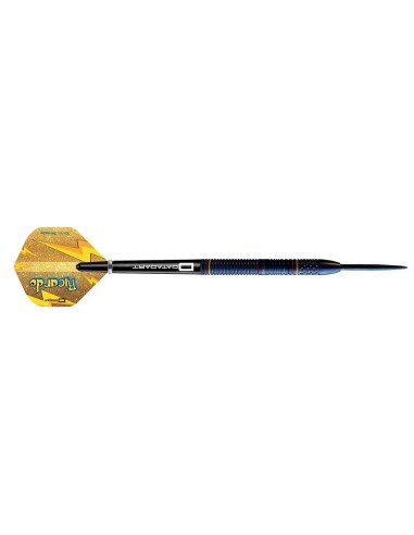 Darts Datadart Spieler Ricardo Pietreczko 90% 23g